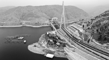 Köprü uzmanı Gülsan - Resim : 2