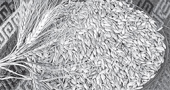 Ardahan, il olduğundan beri nüfusu yarıya indi! - Resim : 3