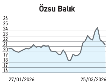 Projesini erken bitiren kazandı gecikenlerin bilanço geliri eridi - Resim : 4