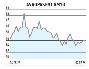 İhracat geliri %2.377 büyüdü zarardaki şirket holdingleşiyor - Resim : 3