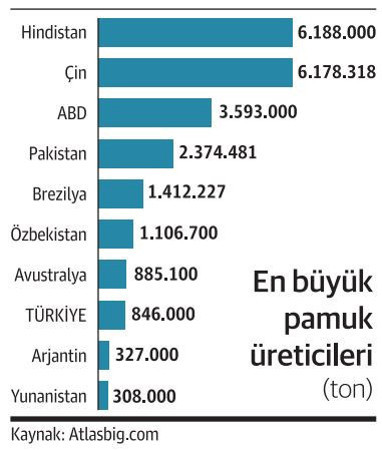 Pamukta ürküten iklim senaryosu - Resim : 1