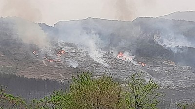 Hatay'da orman yangını