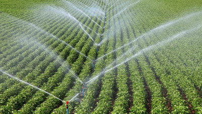 12 milyon euroluk tarım hibesi i&ccedil;in beşinci &ccedil;ağrı ilanı yayımlandı