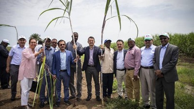 Sudan'da tarım macerası sona erdi: İşte 10 yıllık hikâyesi...