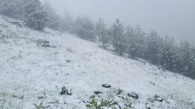 Van, Muş ve Hakkari'de 55 yerleşim yerine ulaşım sağlanamıyor