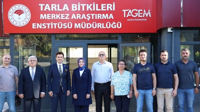 Ulusoy Un'dan yerli tohum atağı