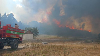 Mersin'de orman yangını çıkaran 2 kişi tutuklandı