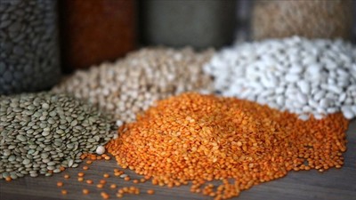 Mart ve nisan yağışları hububat için olumlu etki yarattı