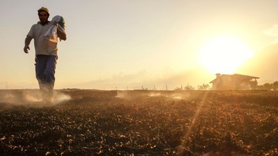 Mahsul para kazandırmadı! Çiftçi arazilerini satılığa çıkardı