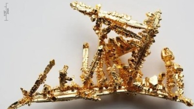 Sahte olmayan yapay altın! Aerogold gerçeğinden ayırt edilemiyor