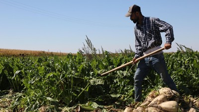 ÇKS başvuruları sona eriyor! Kayıt yaptırmayan destek ve kredilerden faydalanamayacak