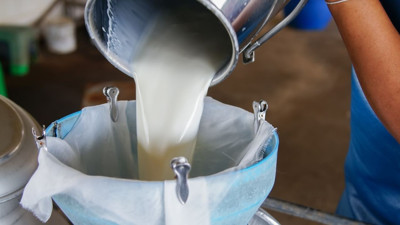 Çiğ sütün üretim maliyeti arttı! TÜSEDAD tavsiye fiyatını açıkladı