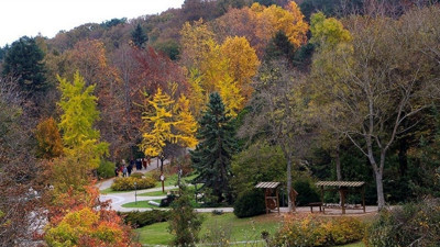 Belgrad Ormanı'nda İSPARK gişesi kaldırıldı! HGS ile giriş getirildi