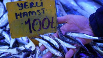 Hamsi, yeni yılın ilk günüyle birlikte 100 TL’den satılıyor