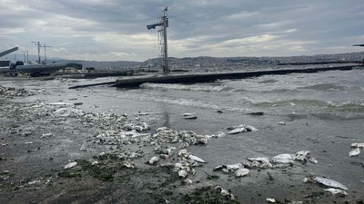 Başsavcılık, İzmir Körfezi'ndeki kirlilik ve balık ölümlerine ilişkin soruşturma başlattı