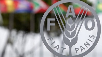 Dünyada gıda fiyatları 2025’e düşüşle başladı