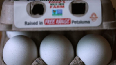 ABD'de yumurta fiyatları son 10 yılın en yüksek artışını kaydetti