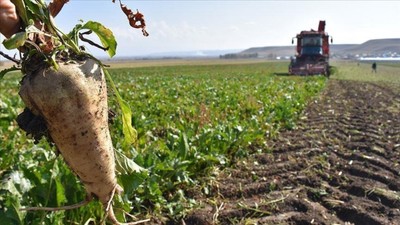 Kayseri Şeker, 4 milyar 214 milyon lira pancar bedeli ödedi