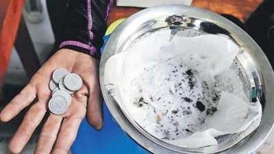 Salgına nakit ödül! Ölü ya da diri beş sinek başına 60 kuruş alıyorlar