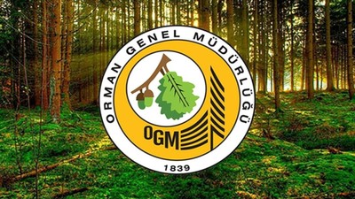 Resmi Gazete'de yayımlandı: Orman Genel Müdürlüğü 105 personel alacak