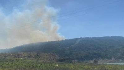 Çanakkale Gelibolu'da orman yangını! Çok sayıda ekip bölgede