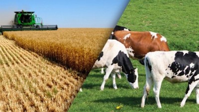 Konkordato talebi reddedildi! Tarım ve hayvancılık şirketi iflas etti