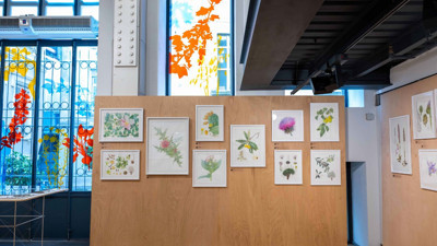 Anadolu’nun bitki mirası Salt Beyoğlu’nda hayat buluyor