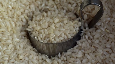Japonya’da pirinç krizi: Tarım Bakanının gafı tepki çekti