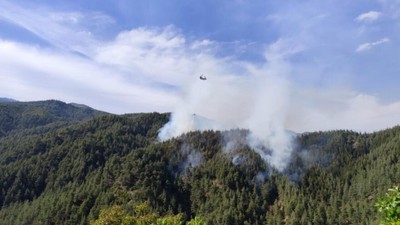 Kahramanmaraş'ta orman yangını: Çok sayıda ekip bölgede