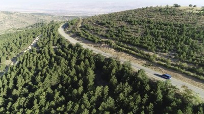 Kırıkkale'de 5 ay boyunca ormanlara giriş yasaklandı