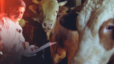 Kurban Bayramı öncesinde 375 bin kurbanlık kontrol edildi