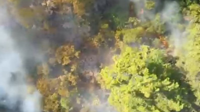 Çanakkale'de tarım arazisinde başlayan yangın ormanlık alana sıçradı