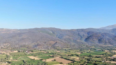 Aydın'da korkutan orman yangını! Ekiplerin müdahalesi sürüyor