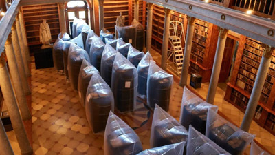 Böcekler bin yıllık kütüphaneyi sardı! 100 bin kitap kurtarılmaya çalışılıyor