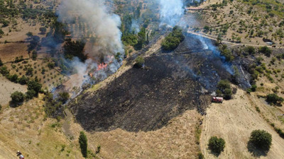 Manisa'da çıkan orman yangını kontrol altına alındı