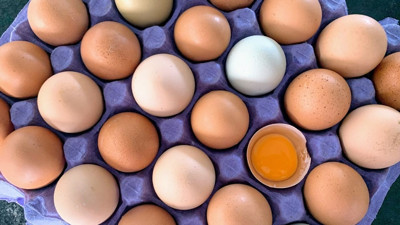 Fon kalktı, yumurta fiyatları yeniden yükselişe geçti