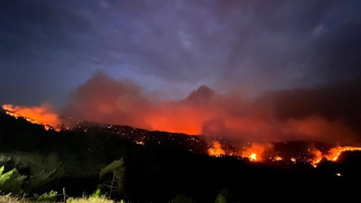 Bakan Kurum orman yangınlarının bilançosunu açıkladı