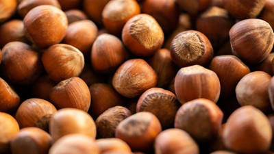 TMO’dan fındık üreticisine uyarı: Erken hasattan kaçının, fiyatın altına satmayın