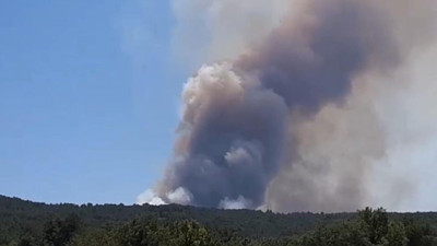 Bolu'da arazide çıkan yangın ormana sıçradı: Müdahale devam ediyor