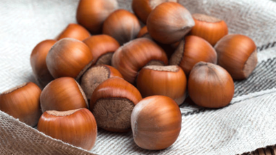 Fındıkta, 5 milyar dolar ihracat geliri hedefleniyor