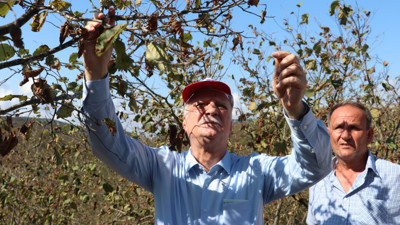 TZOB/Bayraktar'dan çağrı: Fiyatların muhakkak surette yükselmesi gerekiyor