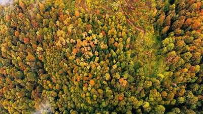 İklim Kanunu’nda 'adil geçiş' yetersiz