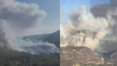 İzmir Menderes'te orman yangını: Alevlere müdahale sürüyor