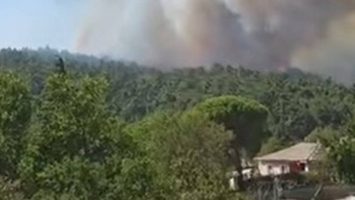 Çanakkale Gelibolu'da orman yangını (Video)