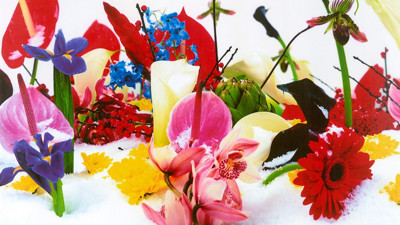 Pera Müzesi’nin 20. yılında “Ortak Duygular” sergileniyor