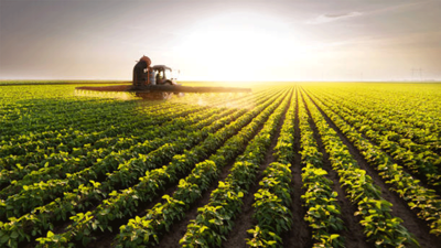 Tarımın geleceği Bursa’da şekilleniyor