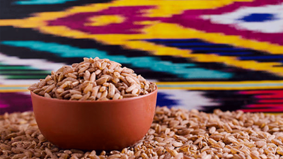 Ata tohumu siyez buğdayı, Düzce topraklarında yeniden hayat bulacak