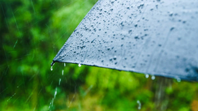 Yağışlar Bursa’daki barajlara can suyu oldu