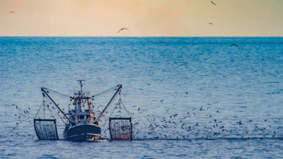 Muğla, 545 milyon dolarlık balık ihracatı gerçekleştirdi