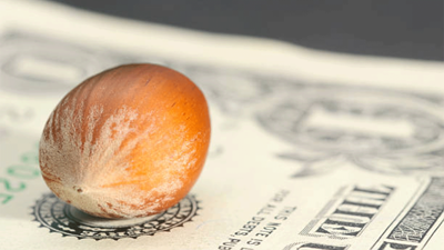 Türkiye’nin fındık ihracatı iki ayda 351 milyon doları aştı